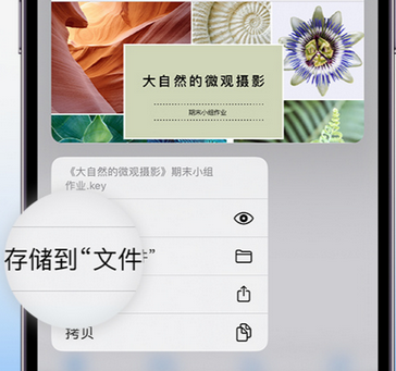 新会apple维修中心分享iPhone文件应用中存储和找到下载文件