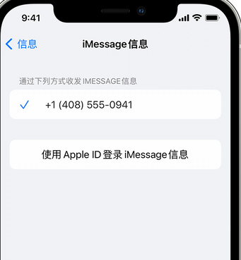 新会apple维修iPhone上无法正常发送iMessage信息 