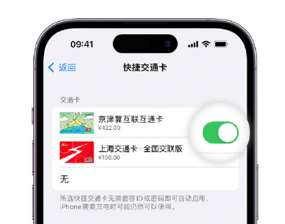 新会apple维修点分享iPhone上更换Apple Pay快捷交通卡手绘卡面 