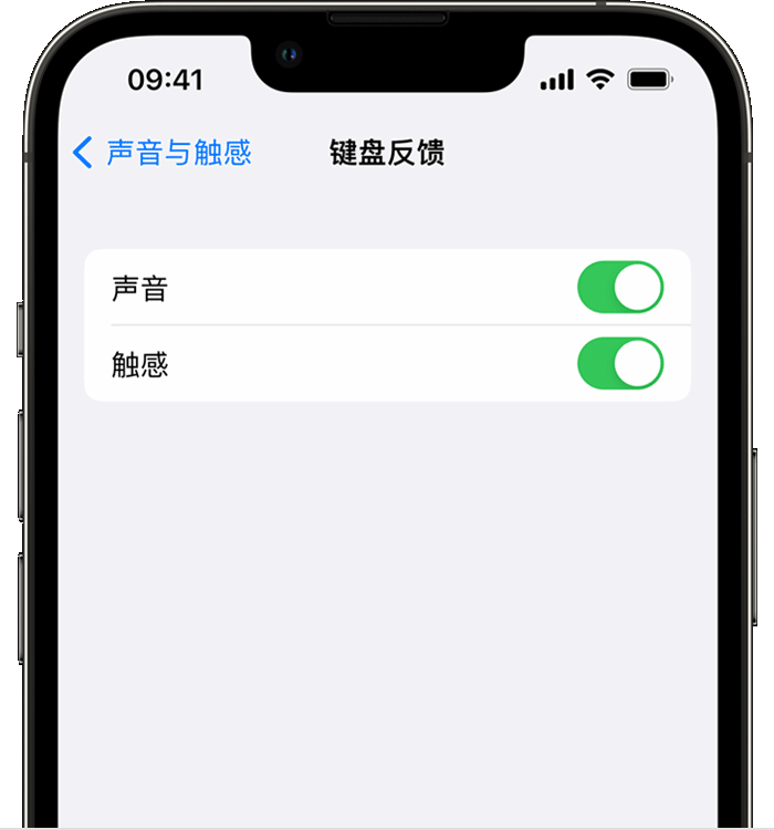 新会苹果14维修店分享如何在 iPhone 14 机型中使用触感键盘 