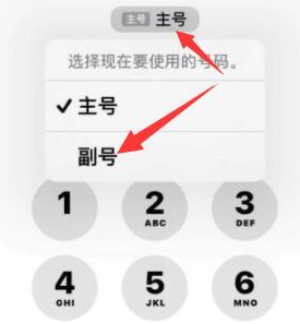 新会苹果14维修店分享iPhone 14 Pro Max使用副卡打电话的方法 