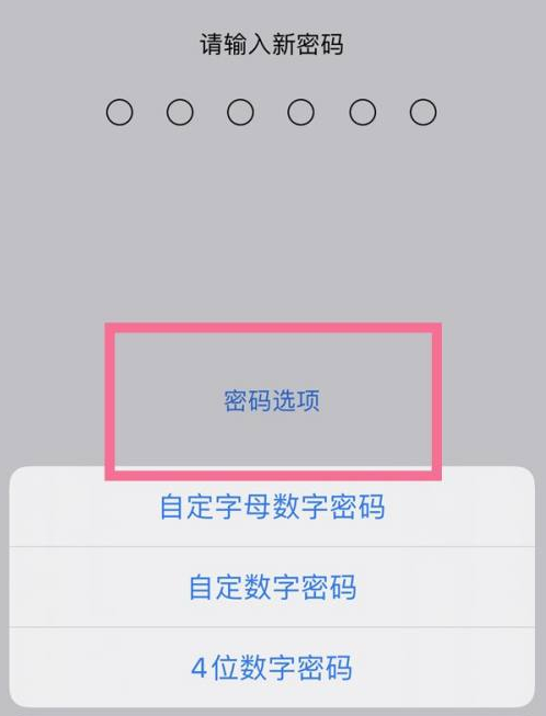 新会苹果14维修分享iPhone 14plus设置密码的方法 