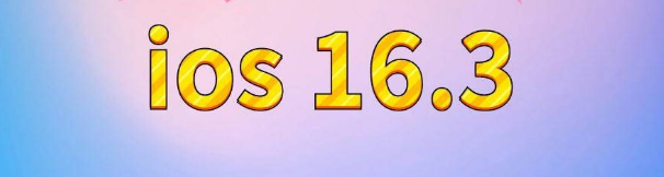 新会苹果服务网点分享苹果iOS16.3升级反馈汇总 