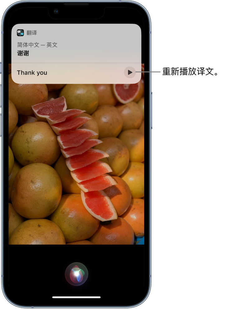 新会苹果14维修分享 iPhone 14 机型中使用 Siri：了解 Siri 能帮你做什么 