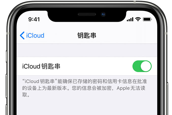 新会苹果手机维修分享在 iPhone 上开启 iCloud 钥匙串之后会储存哪些信息 