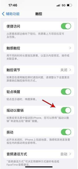 新会苹果手机维修分享iPhone手机如何设置摇一摇删除文字 